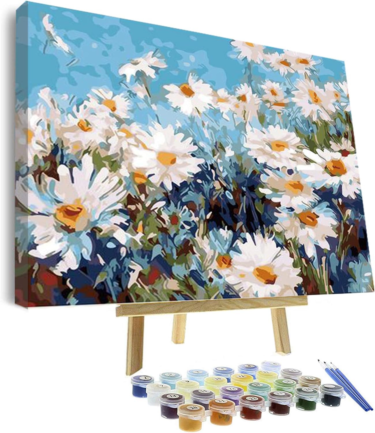 VIGEIYA Oil Paint by Numbers 16x20in with Framed Canvas