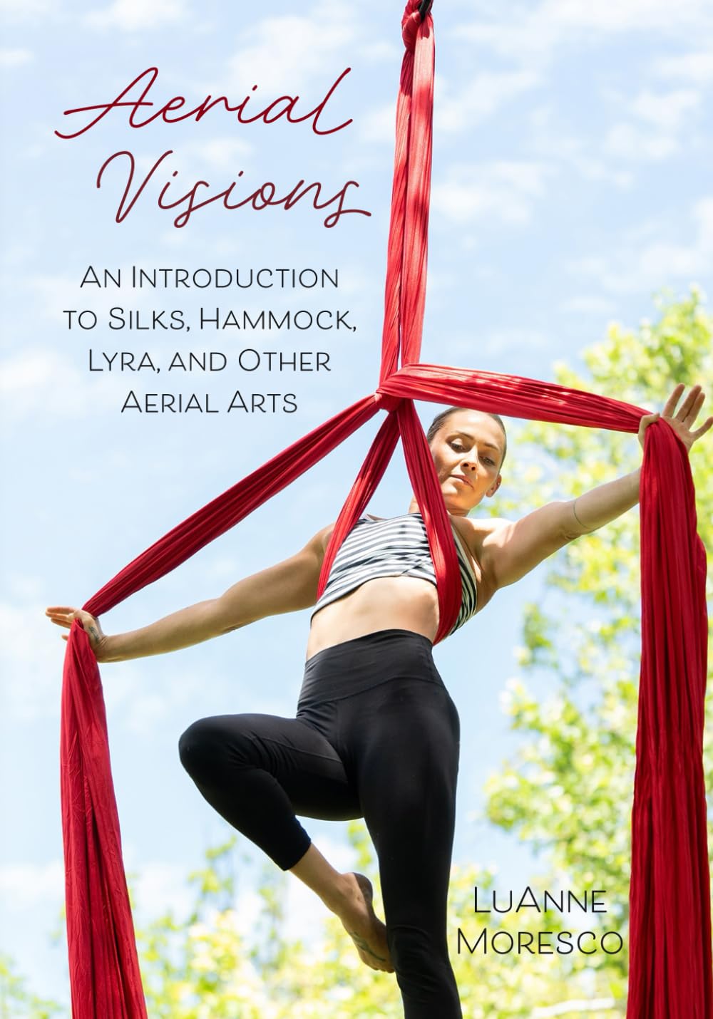 Aerial Visions: An Introduction to Silks, Hammock, Lyra, and Other Aerial Arts