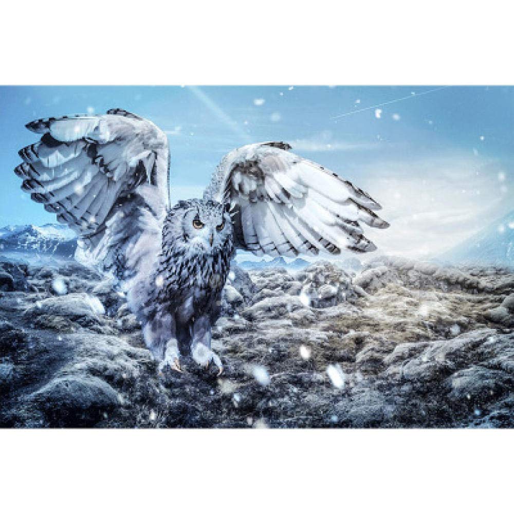 Diamant peinture 5D hibou blanc pour décorer votre salon en mosaïque DIY