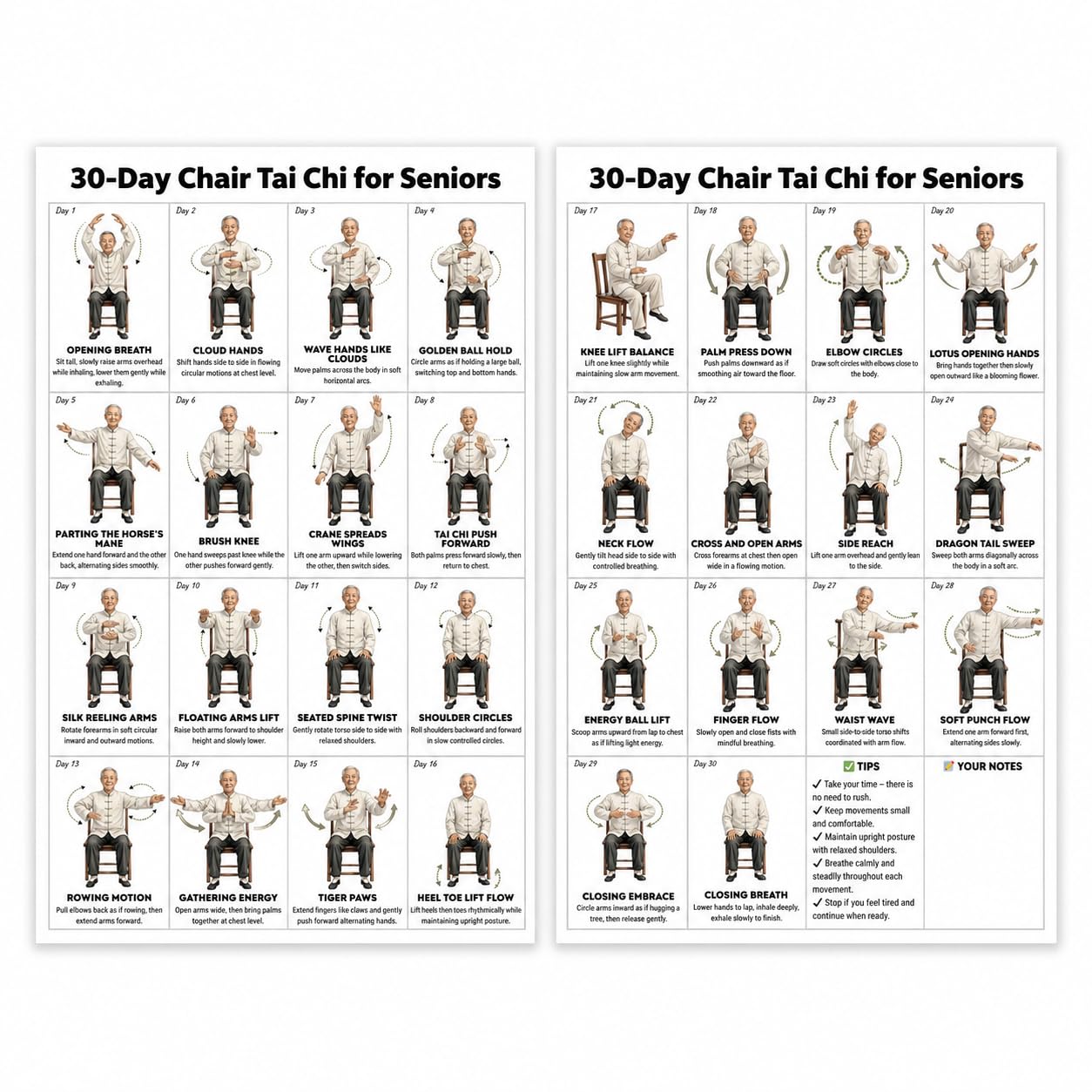 Tai Chi Chair Exercise Chart, 16x10 Inch Tai Chi Chair Workouts Poster for Seniors and Beginners, Seated Tai Chi Exercises Canvas Wall Art for Home Gym, Living Room, Bedroom Decor