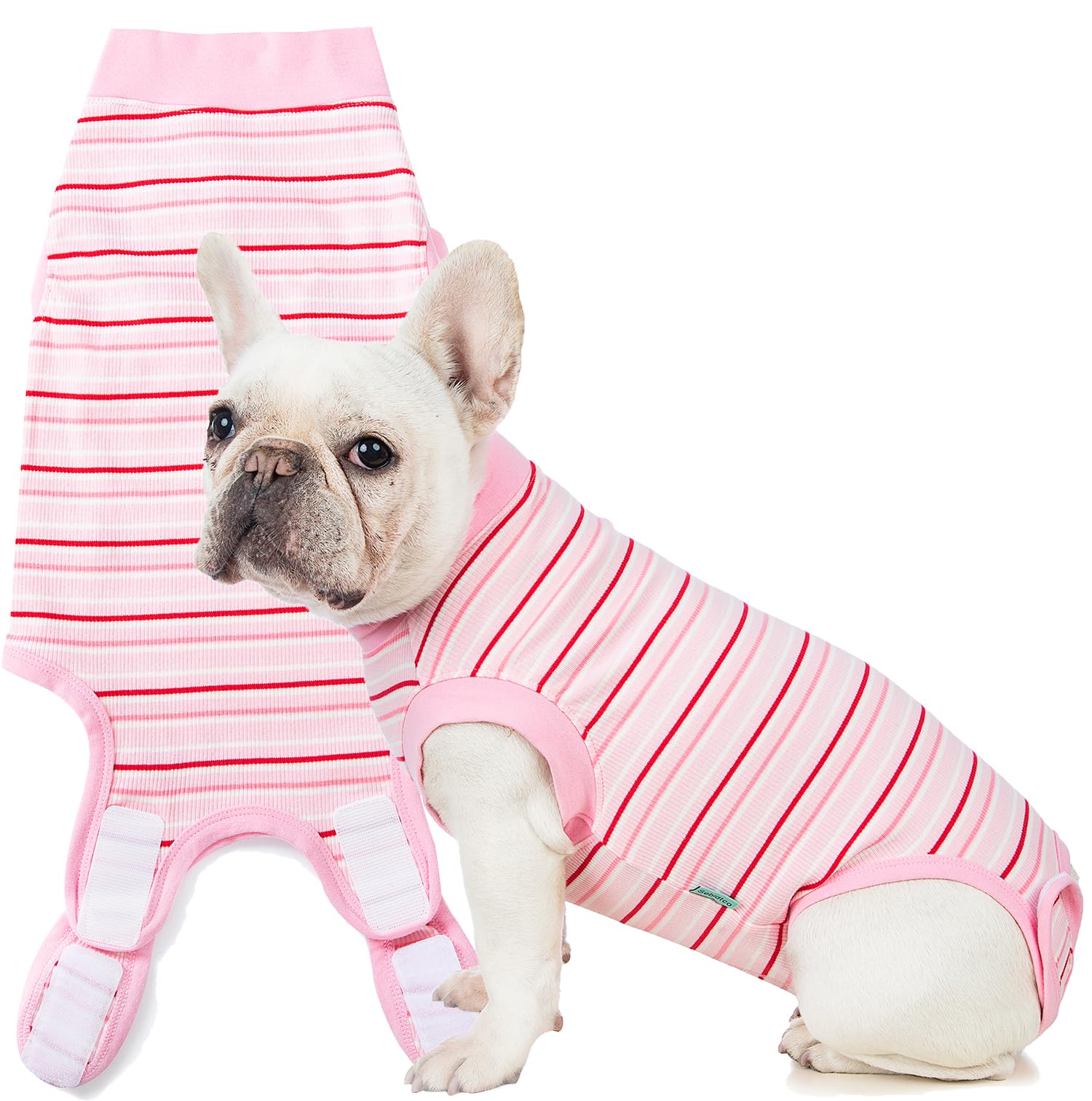 Photo 1 of Sebdtico Recovery Suit for Dogs,Dog Surgery Suit Female Spay,Soft Dog Onesie for Surgery Female,Dog Cone Alternative Surgical Recovery Suit Female,Abdominal Wounds Licking Anti Suit for Dogs
