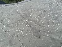 Review Image by Courtney Cook Courtney Cook