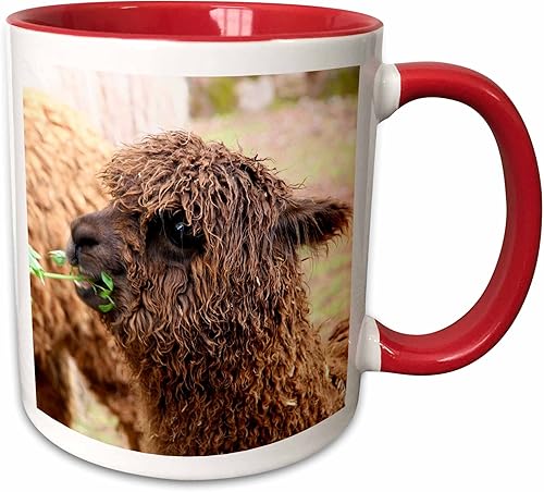 3dRose Danita DelimontVida SilvestrePerú. Alpaca huacaya Vida Silvestre, awana kanchaSA17kwi0099Kymri WiltTazas, RojoBlanco