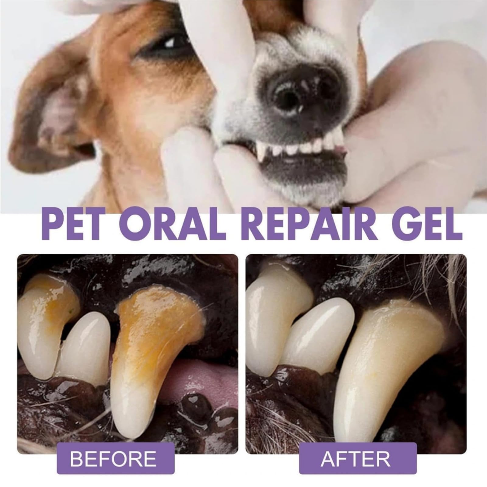 4PCS Pet Toothbrush Pen,Pet Oral Repair Gel Pen,Dog Tooth Cleaner,Dog Teeth Cleaning,Dogs Toothpaste for Tartar Removal,Dogs Teeth & Gums Health - Image 2