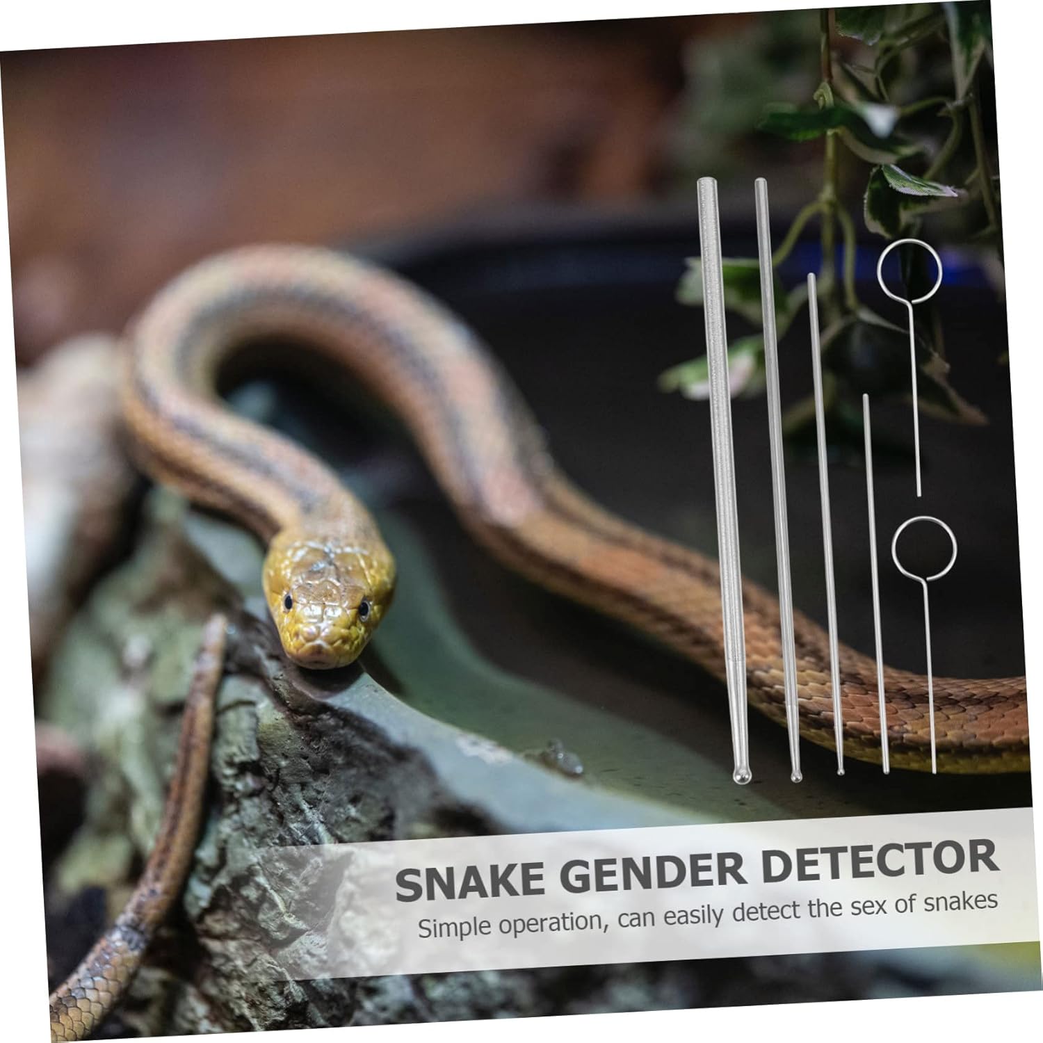 Happyyami 6Pcs Stainless Steel Snake Gender Probe Kit Reptile Sexing Tool Hypoallergenic Tips for Accurate Gender Detection for Corn Snakes and Other Reptiles