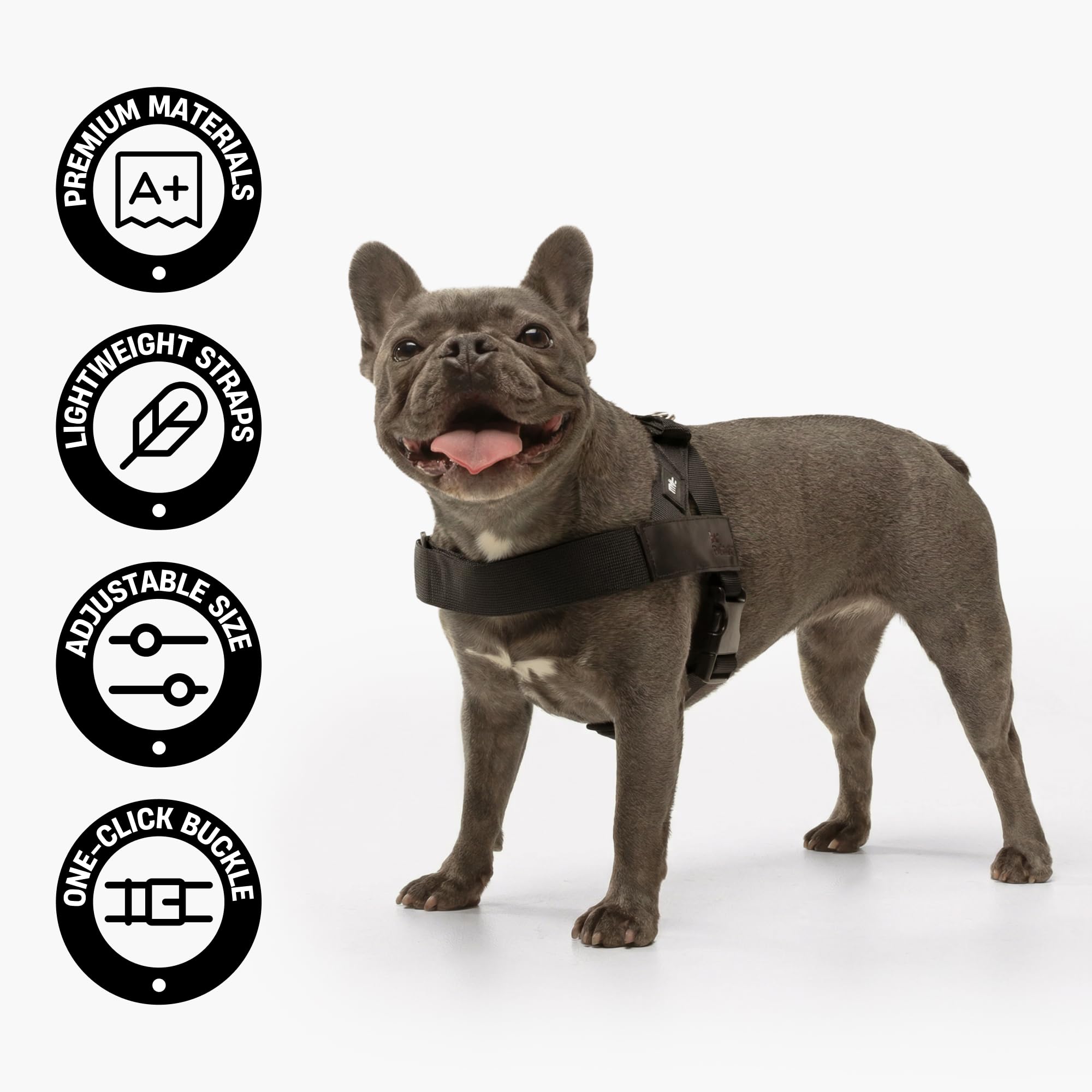 Dog Friendly Co. Arnés para perros grandes, diseño sin tirones (negro, L)