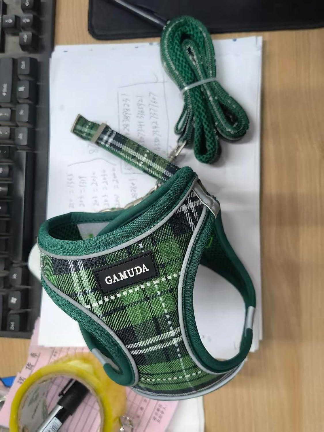 GAMUDA Small Pet Harness Collar and Leash Set, Step in No Chock No Pull Soft Mesh Adjustable Dog Vest Harnesses Plaid Reflective for Dogs Puppy Cats Kitten Rabbit (Green, XXS)