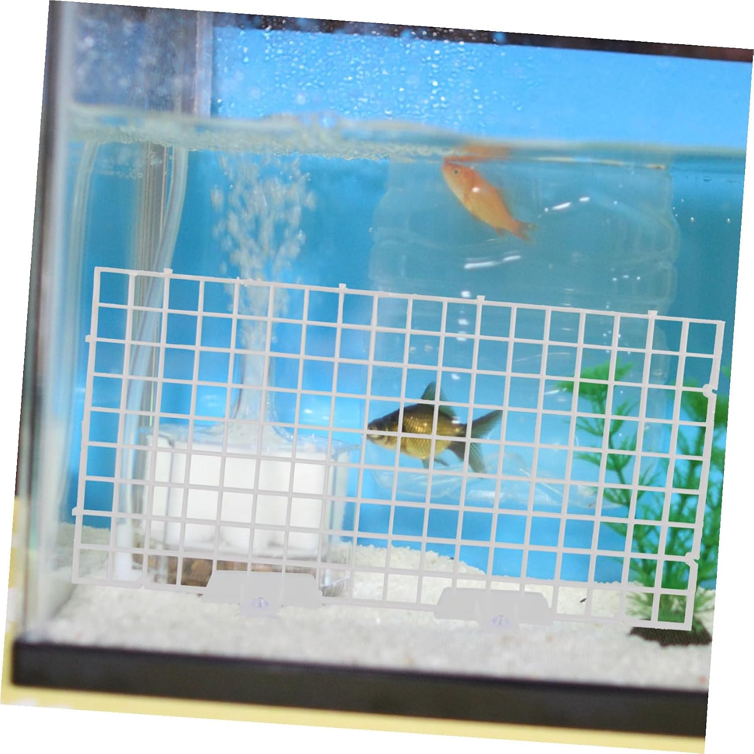 Fish Tank Divider Board Aquarium Isolation Tray with Egg Crate Design for Separating Aggressive Fish and Enhancing Survival Rate in White Panels