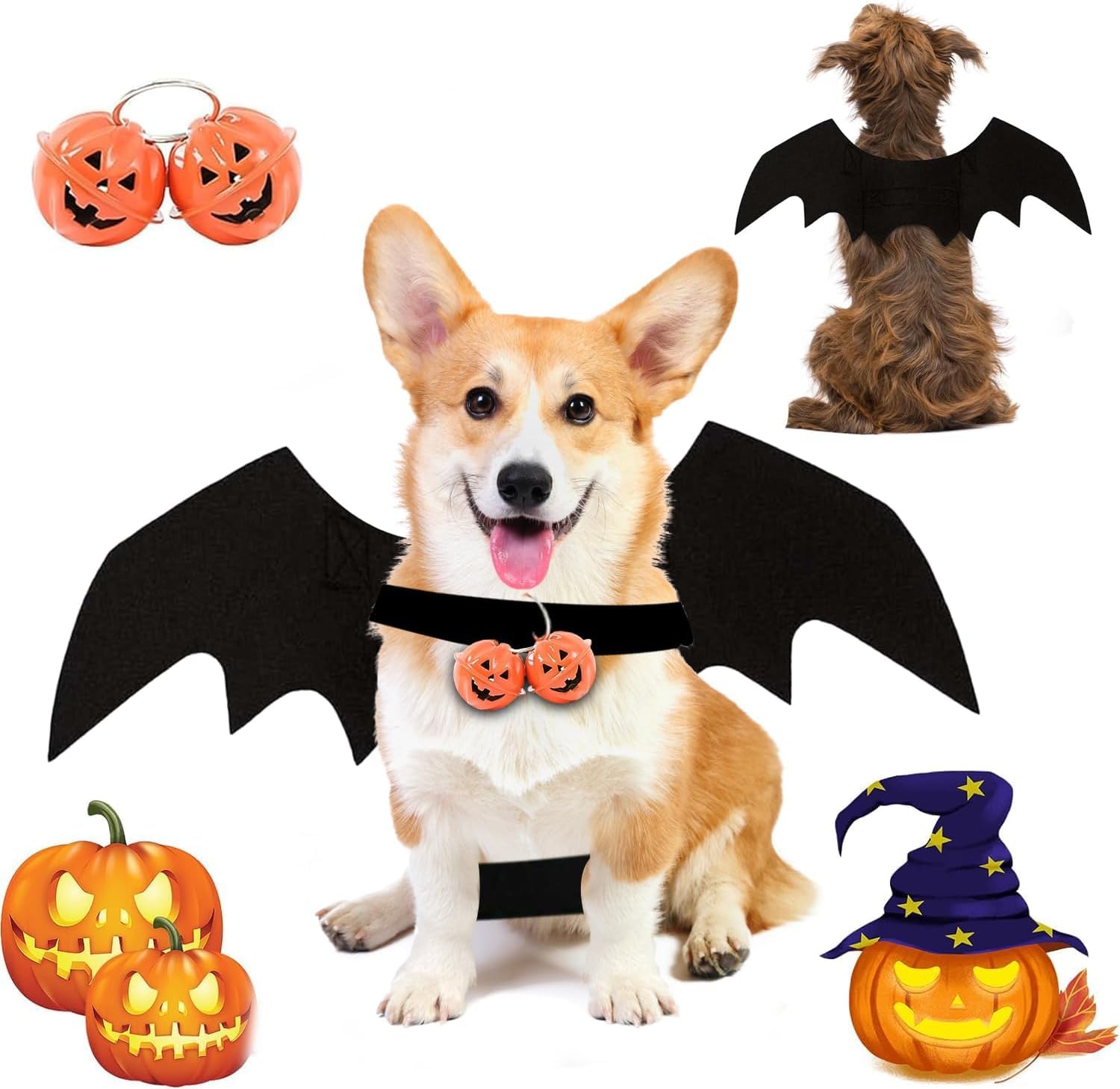 Disfraz De Murciélago para Mascotas,Disfraz De Perro De Murciélago De Halloween con 2 Campana De Calabaza,Lindas Alas De Perro,Disfraces De Halloween para Mascotas para Perros Medianos