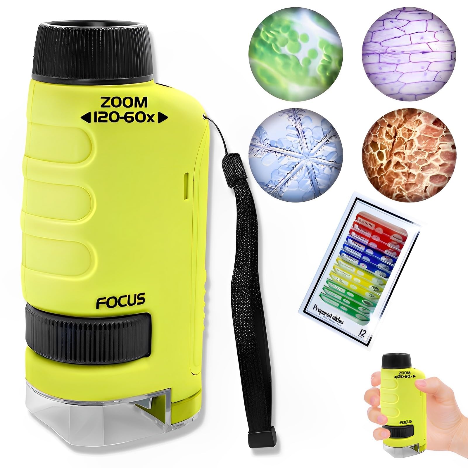 Kinder-Mikroskop 1000x Vergrößerung - Tragbar Mit 2 Zoll Display & LED Beleuchtung