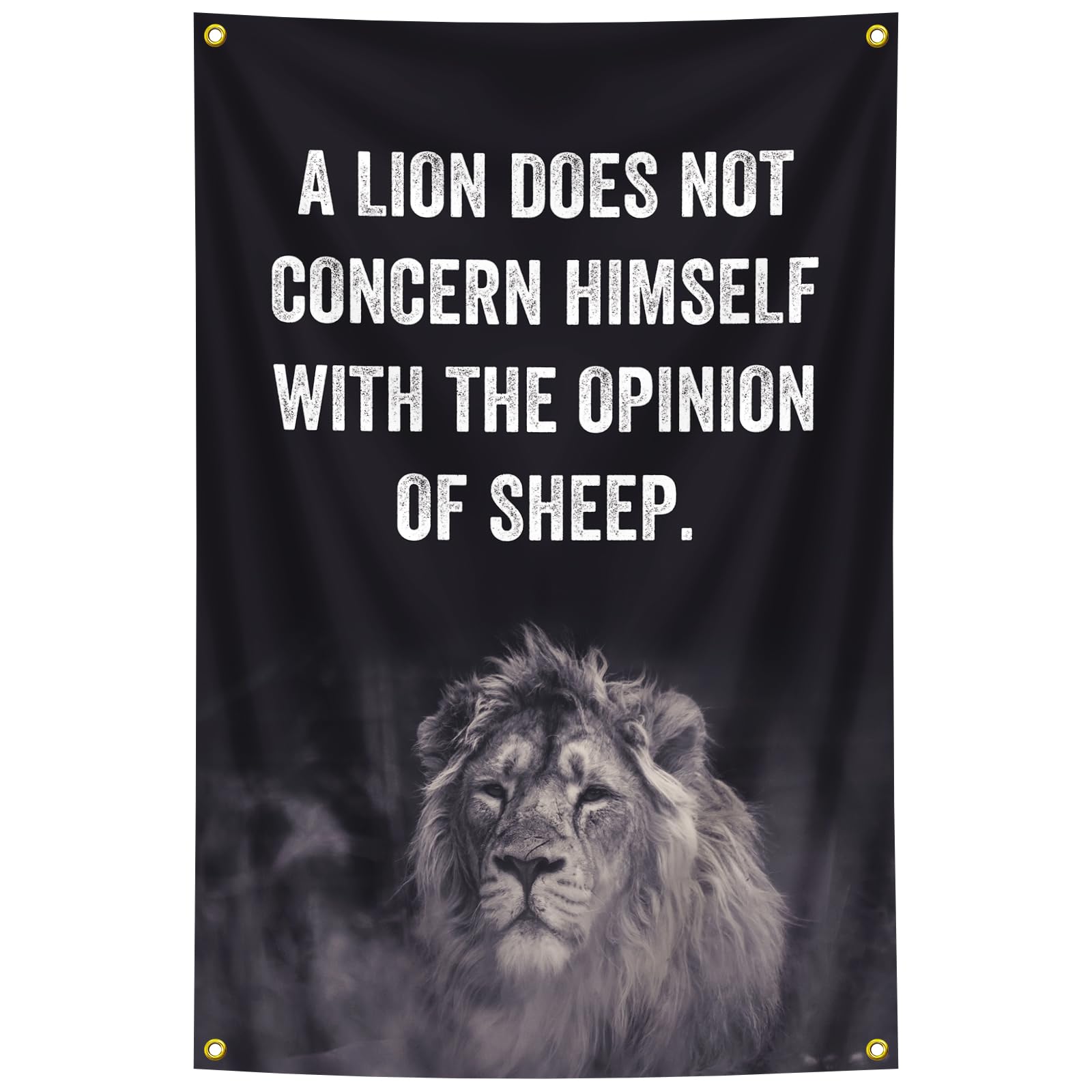 Amazon.com : A Lion Does Not Concern Himself with The Opinion of