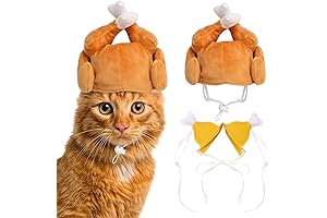 Rypet Thanksgiving Cat Costume 2-Pack: Festive Turkey Suits for Cats and Small Dogs