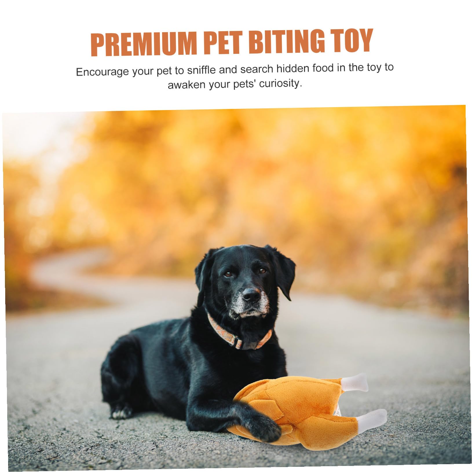INOOMP 5pièces Jouet à Mâcher Squeaky pour Chiens Jouet Interactif De Formation Chasse Stimule Instinct De Recherche pour Chiots Et Petits Chiens Facile à Nettoyer Et Amusant