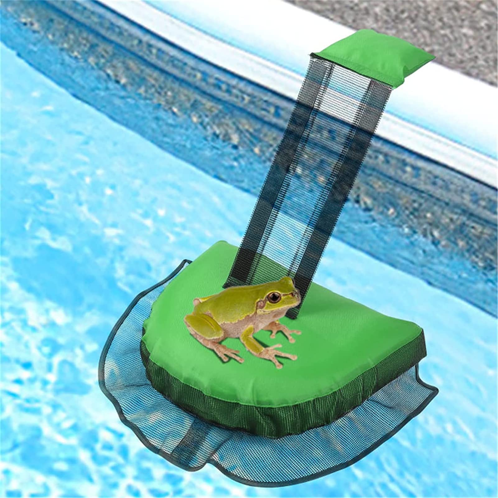 Rampes De Secours Pour Piscine - Plateforme De Sauvetage Pour Animaux (grenouilles, Oiseaux, Lézards) Avec Filet Intégré - Sécurité Et écologique - 5
