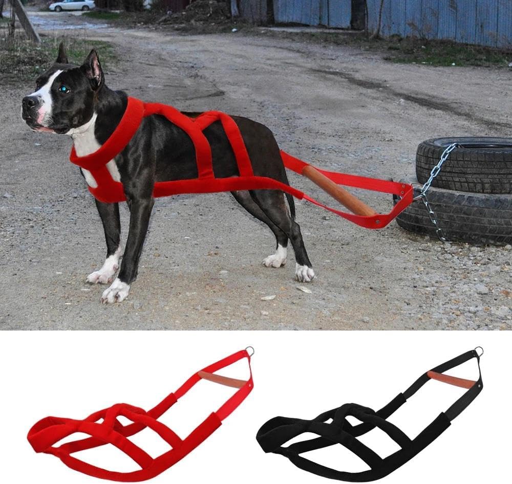 大型犬向けのかっこいいハーネス [H10##1137 Leather harness] : ジャーマンシェパードグッズ, シェパードグッズ、 ジャーマンシェパード、犬 ジャーマンシェパード 、犬用品 通販, German-Shepherd-Japan.com ジャーマンシェパード ラブラドール 大型犬 体重牽引ハーネス ペットアジリティ製品 犬そりハーネス 屋外犬加重牽引ハーネス 中型犬と