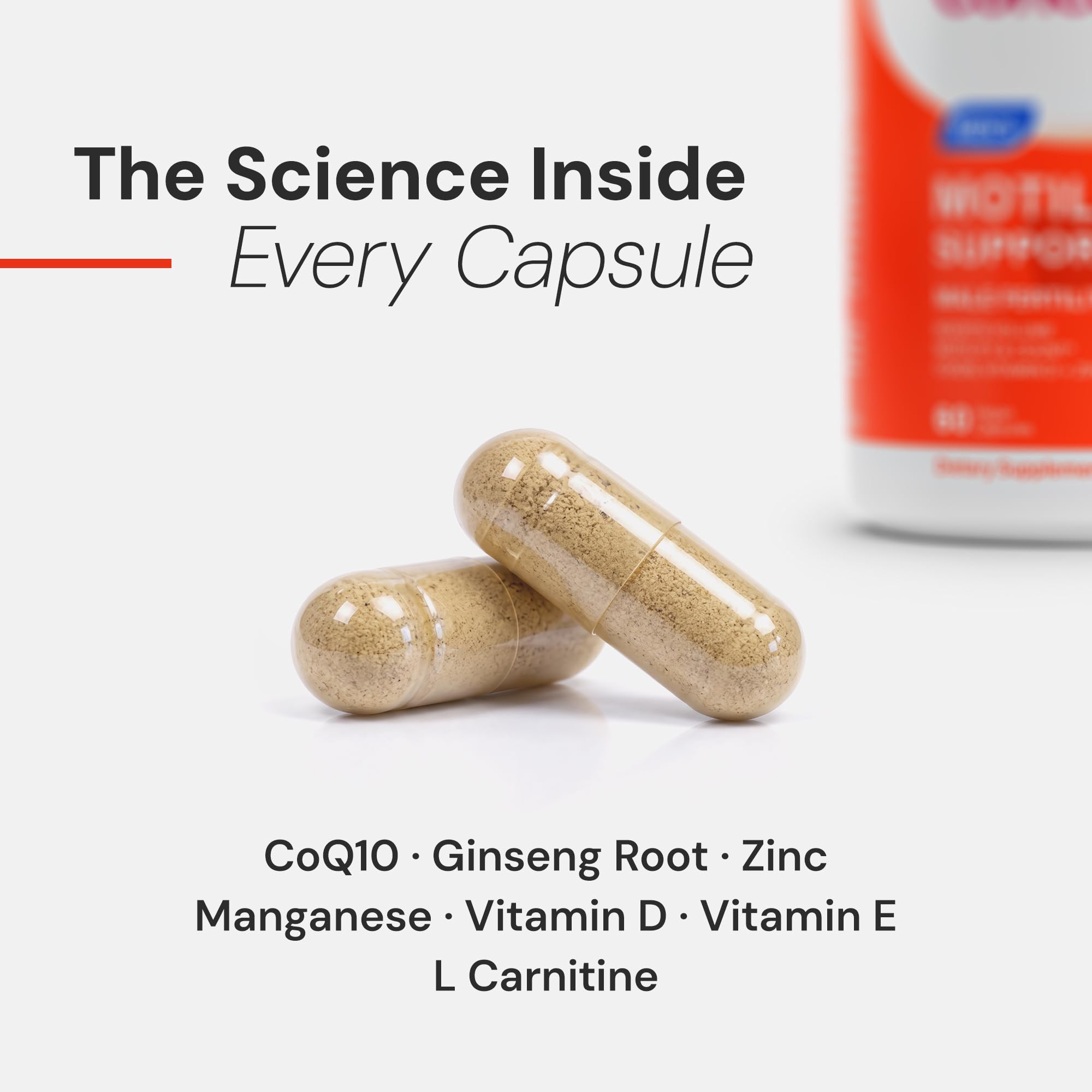 CONCEIVE PLUS Motility Support for Men Fertility Supplement — Amazon image 3