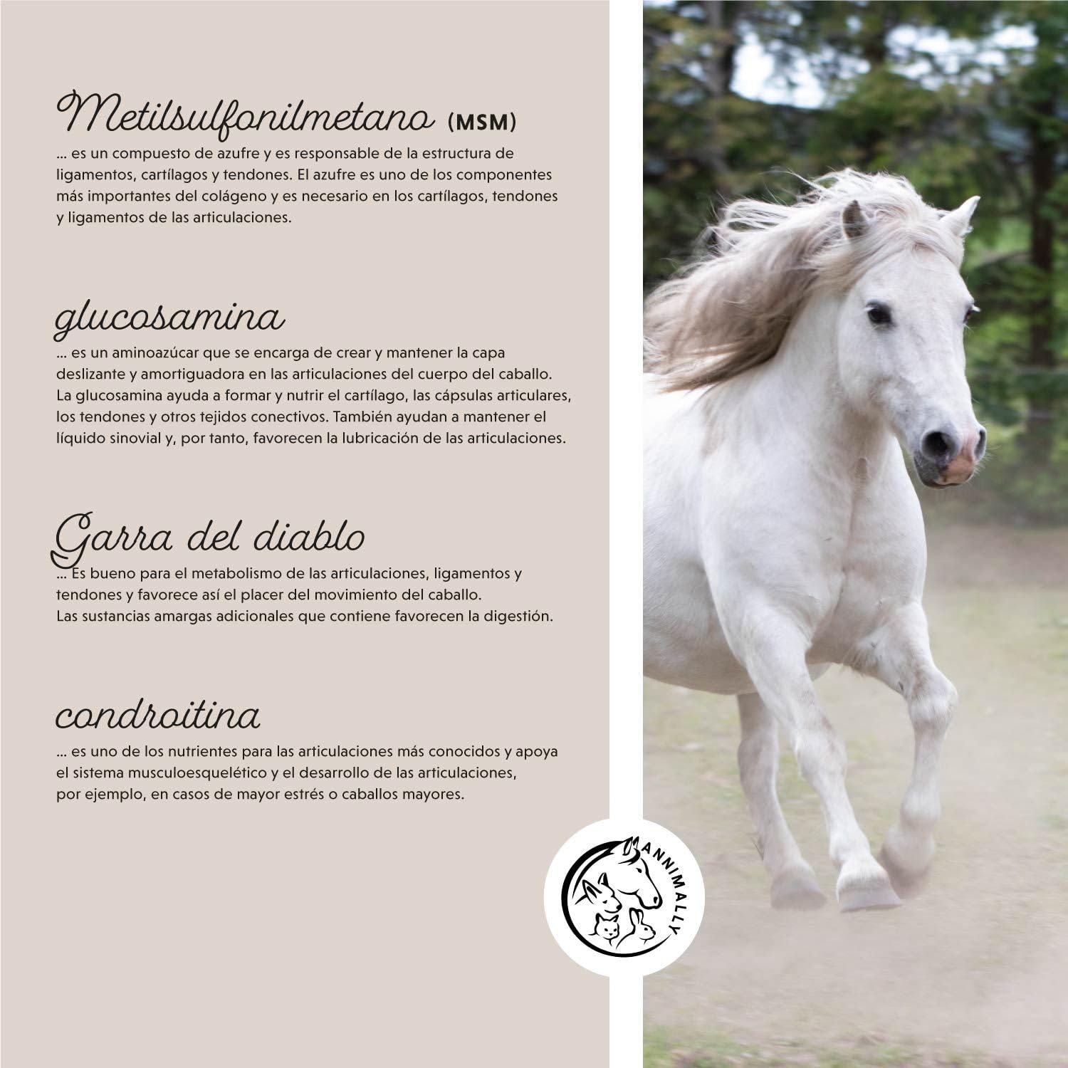 Annimally Polvo para articulaciones de Caballos 850g con Garra del Diablo, MSM Caballos (azufre), glucosamina Caballo, Acido hialurónico, condroitina - Complemento alimenticio Caballos