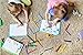 Barbie Coloring Book | Barbie and Ken Coloring Books | Barbie Jumbo Activity Book with Tanner The Dog | Multicolor | Jumbo | Officially Licensed