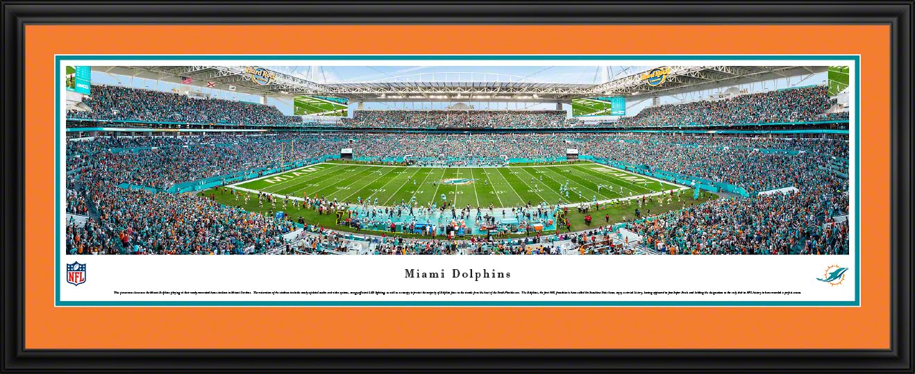 Miami Dolphin at Hard Rock Stadium - 44x18-inch Double Mat, Deluxe Framed Picture by Blakeway Panoramas
