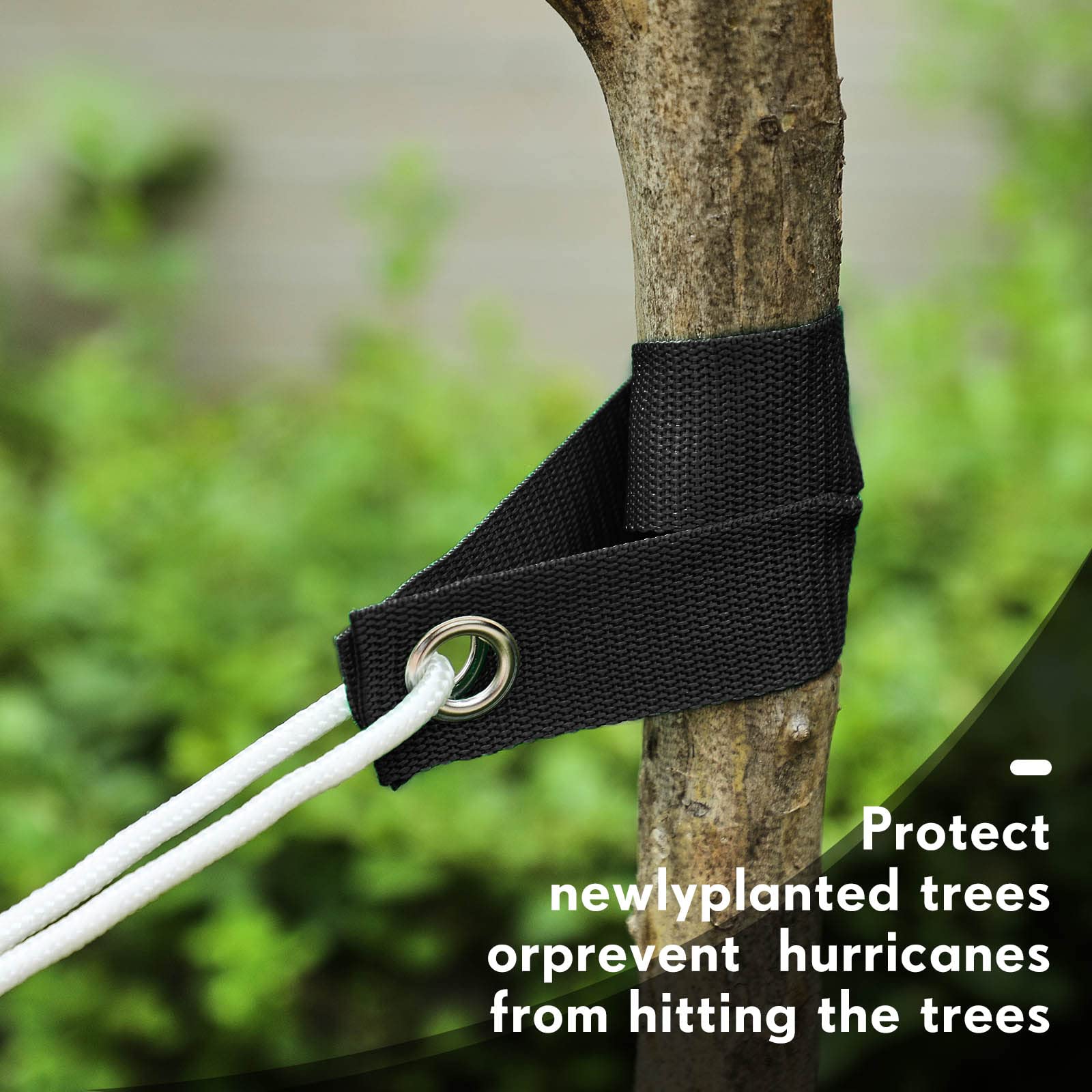 Lot de 48 sangles de soutien pour arbre de 40 cm avec œillets robustes pour jeunes arbres et plantes - Pour piquets de haubans, jeunes plantations et protection contre les ouragans (noir)