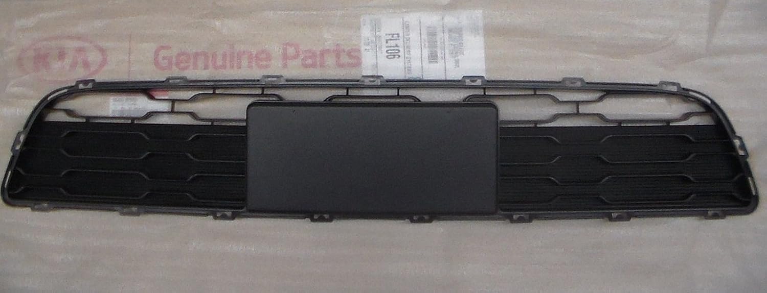 Genuine Kia 86561-2K510 Bumper Mesh, Front