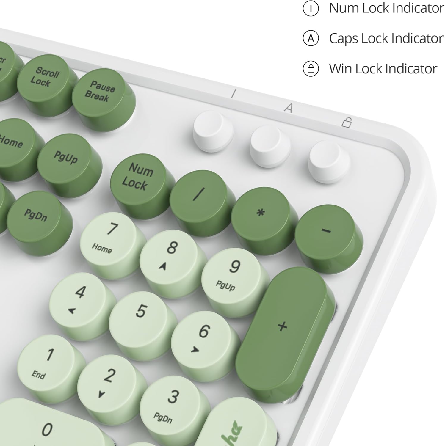 Owpkeenthy Typewriter Green Matcha Cute Keyboard with Floating Round Keys, Full Size Wired Retro Keyboard Click Feeling with Foldable Stands for Laptop Office PC Desktop Windows (Matcha)