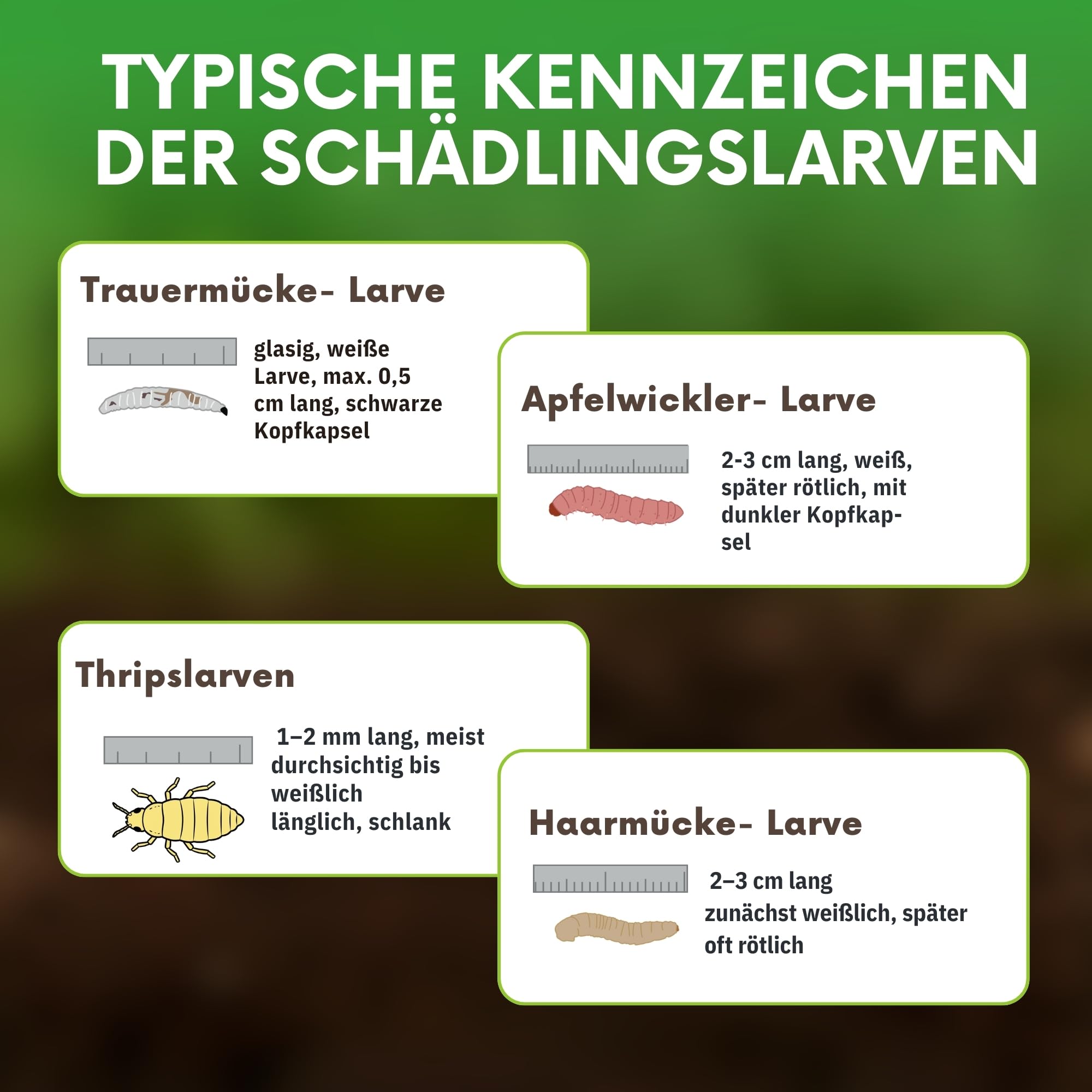 SF- Nematoden 100 mio für 200 m² gegen Trauermücken, Thrips, Weiße Fliege und weiteren Schädlingen biologische Schädlingsbekämpfung mit Fadenwürmern