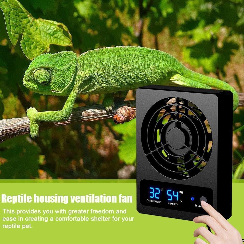 Hyla, de amfibieën- en reptielenwerkgroep