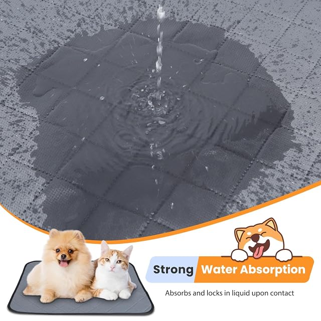 Foto 4 de 8 de Nobleza 2 Piezas Lavable Almohadillas de Entrenamiento para Perros, Empapadores para Perros