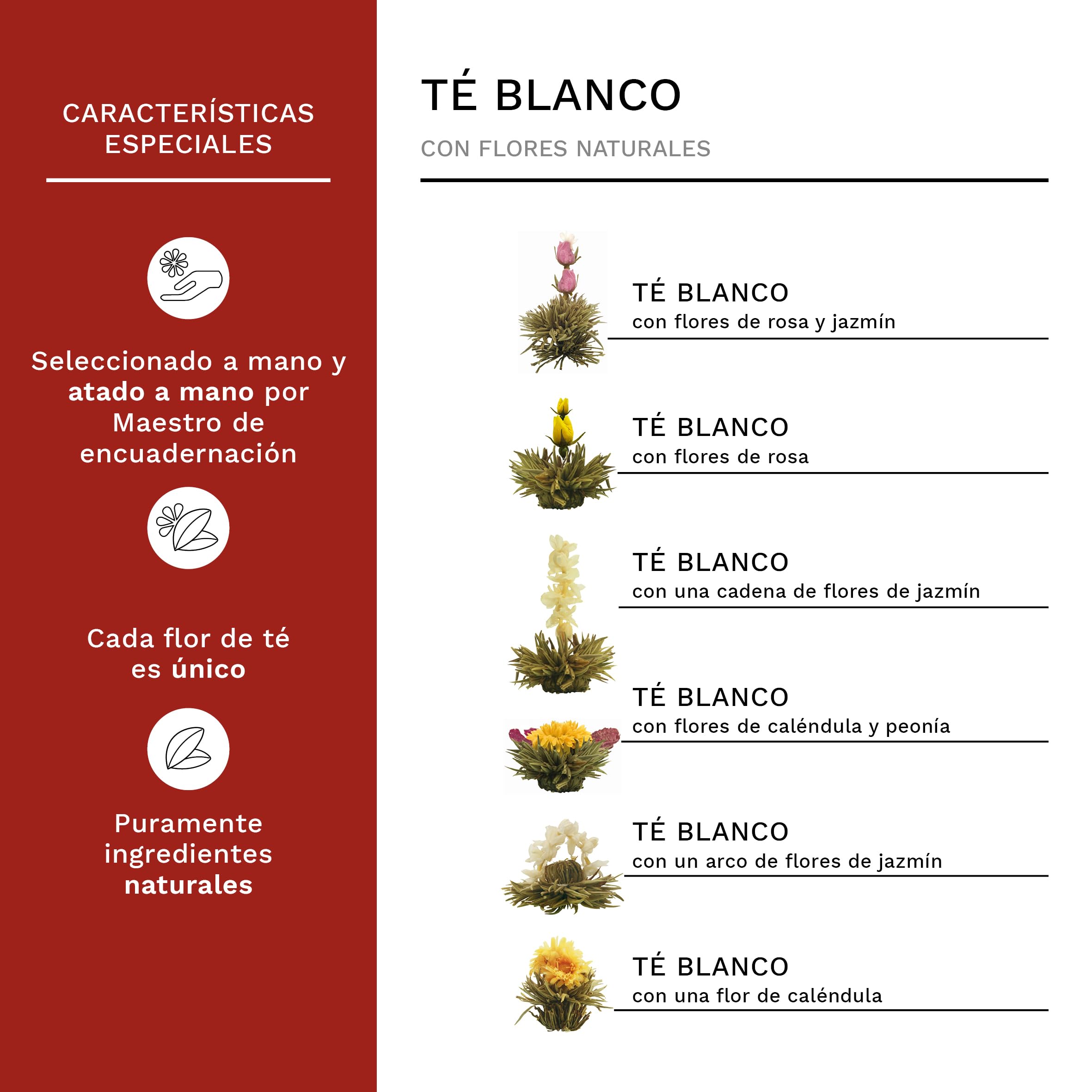 Creano Flores de Té Blanco 6 uds – Cofre de Madera con Tetera de Vidrio 500ml Antigoteo – Set de Lujo para Regalo – Té en Flor Hecho a Mano