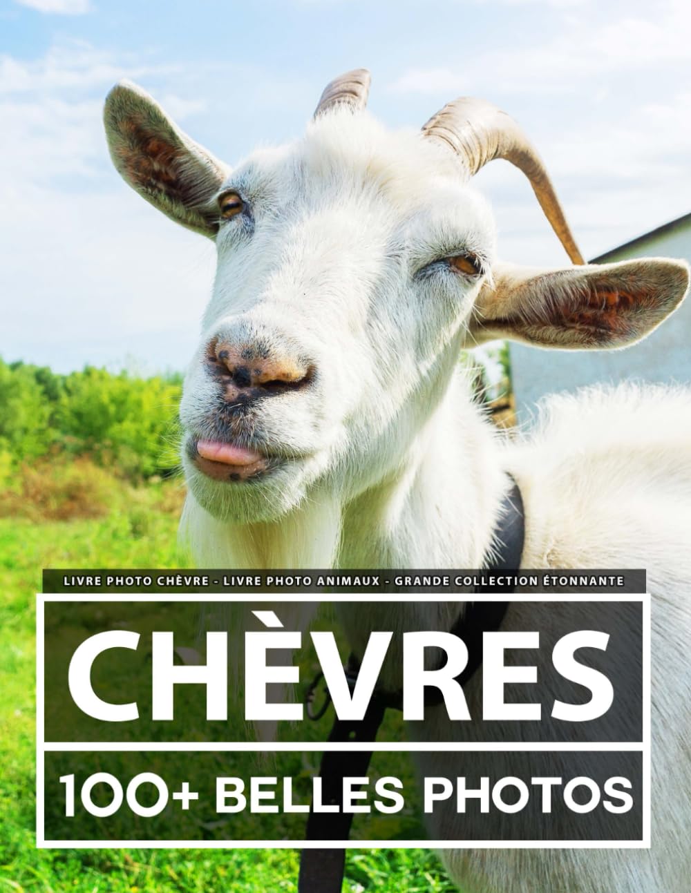 Livre Photo Chèvre - Livre Photo Animaux - Grande Collection Étonnante: 100 Belles Photos Dans Ce Fantastique Livre De Chèvres - Pour Enfants Et Adultes