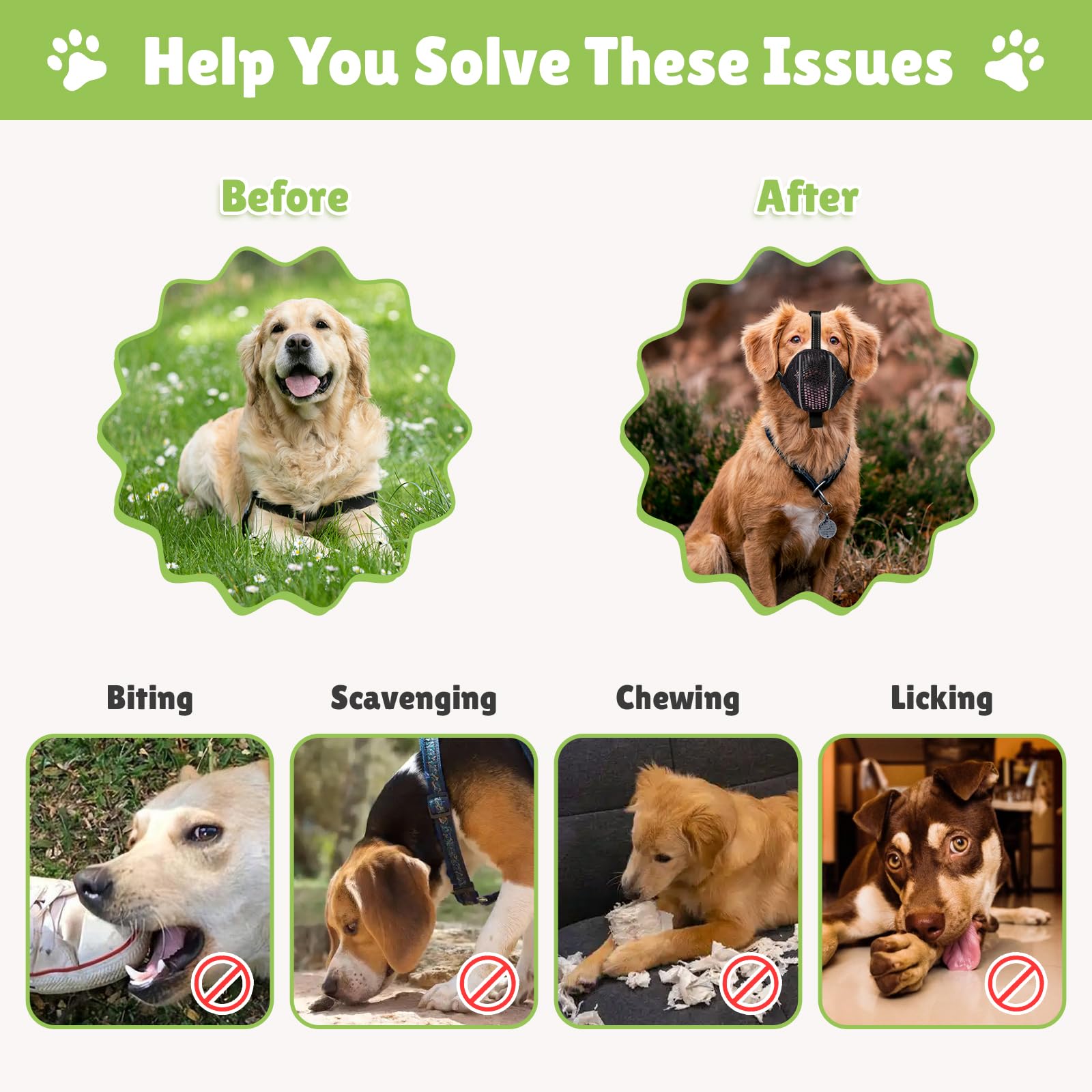 Muselières pour Chiens Anti-Grignotage, Colliers pour Chiens, Muselières Respirantes Réglables pour Animaux de Compagnie,Prévenir l'ingestion Accidentelle,Convient Animaux de Moyenne Taille(M)