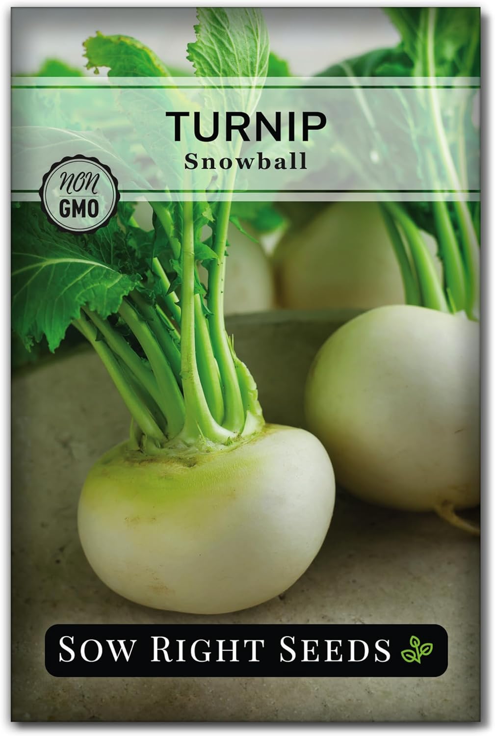 Sow Right Seeds Snowball Turnip Seeds - Non-GMO Heirloom Ivory White Roots, Cold Hardy Early Season for Home Vegetable Garden - 400+ Seeds