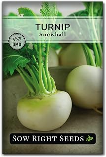 Sow Right Seeds Snowball Turnip Seeds - Non-GMO Heirloom Ivory White Roots, Cold Hardy Early Season for Home Vegetable Garden - 400+ Seeds