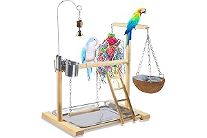 Bird Playground Haven: A Wooden Paradise for Your Feathered Friends