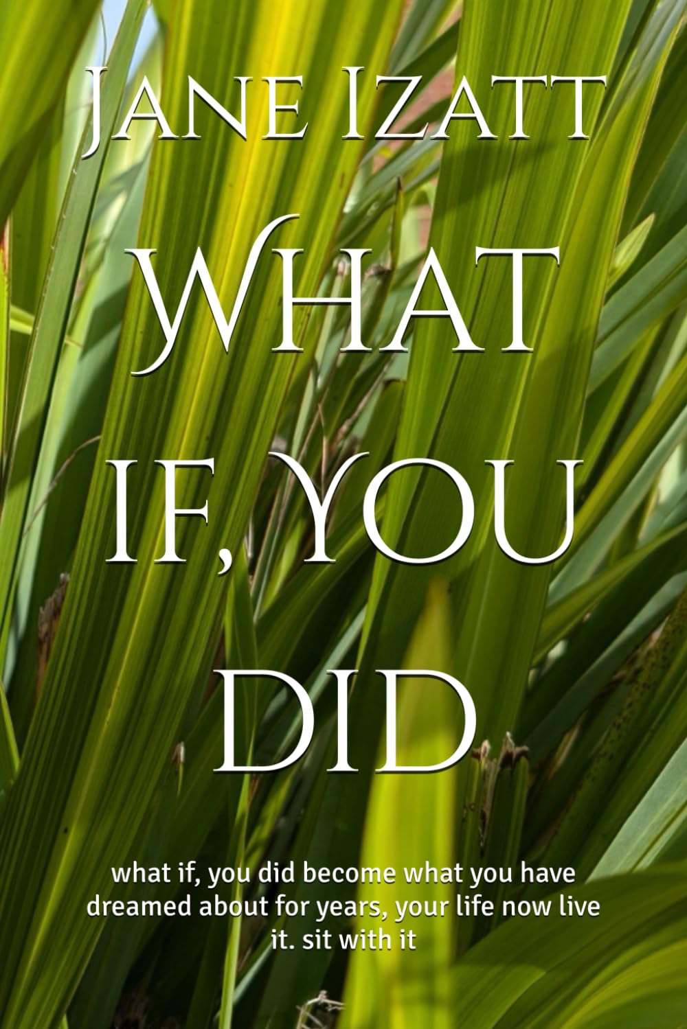 What if, You did: what if, you did become what you have dreamed about for years, your life now live it. sit with it