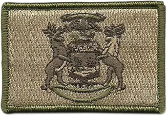 Gadsden and Culpeper Tactical State Patch - Michigan - View Colors