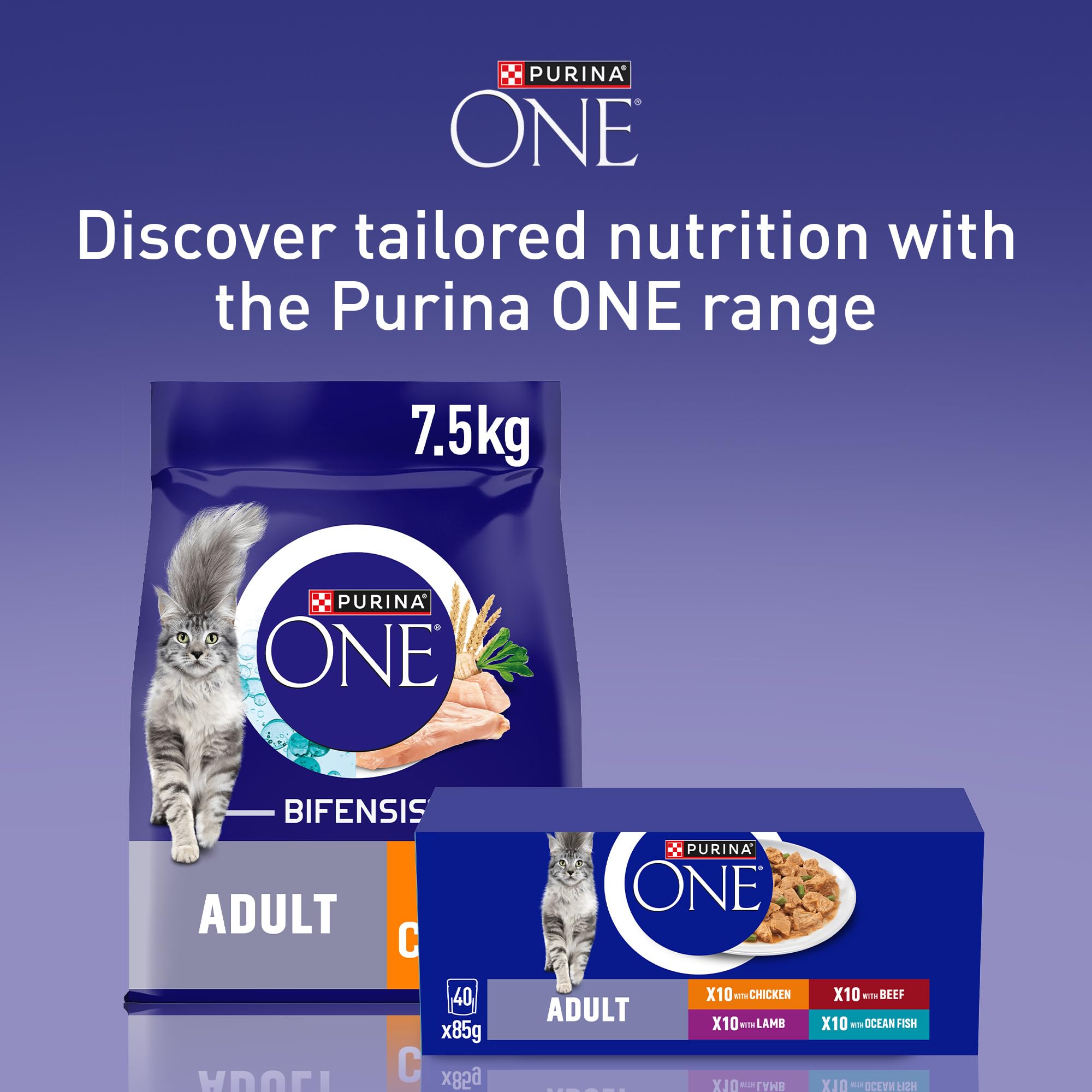 PURINA ONE Mini Fillets Mixed Selection in Gravy Adult Wet Cat Food 40x85g — view 6