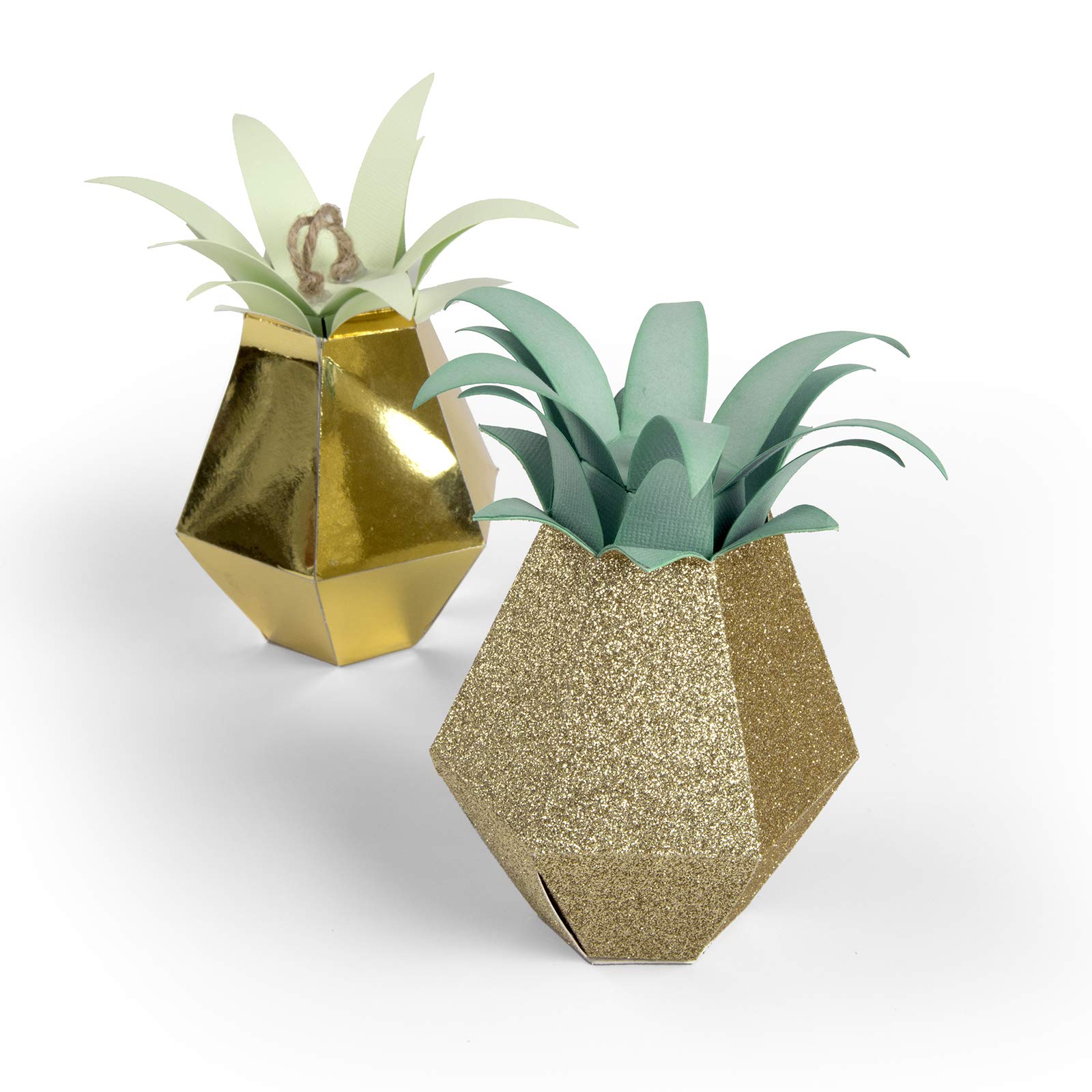 Amazon.co.jp: Sizzix 661958 パイナップル ビッグズ プロ ダイ