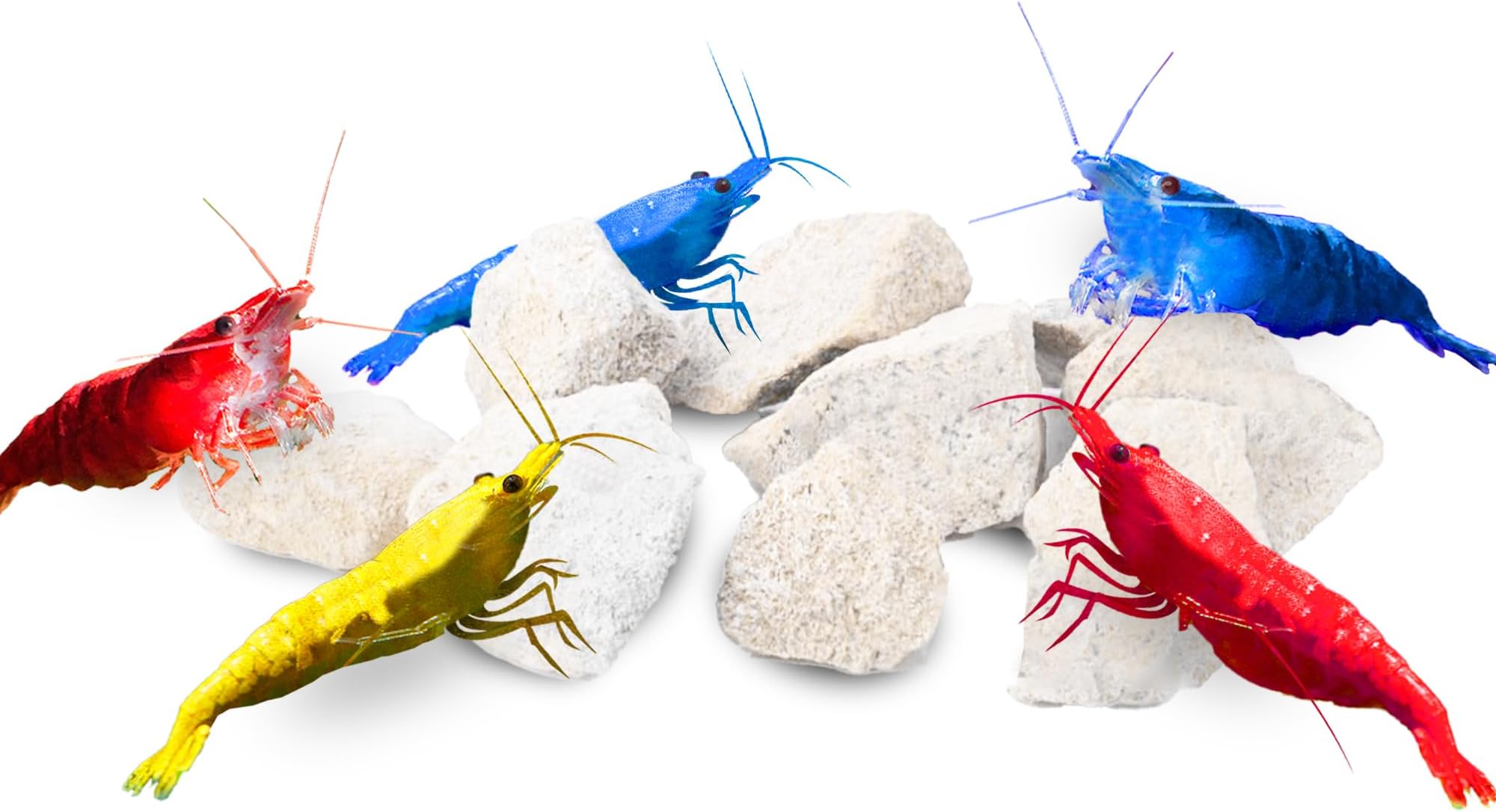 JOR Water Conditioner Calcium Rocks for Baby Shrimps, Isopods, and Crayfish, Enhances Pet Color, Provides Hideout, Breeding Spot, Beneficial for Shedding, Rustic Decor for Big and Nano Tanks, 3.5 oz.