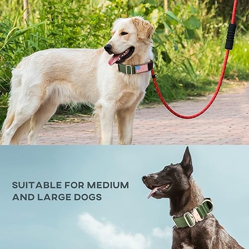 Miniatura 5 de Collar táctico para perro, collar ajustable de nailon para entrenamiento militar con asa y hebilla de metal resistente para perros medianos y