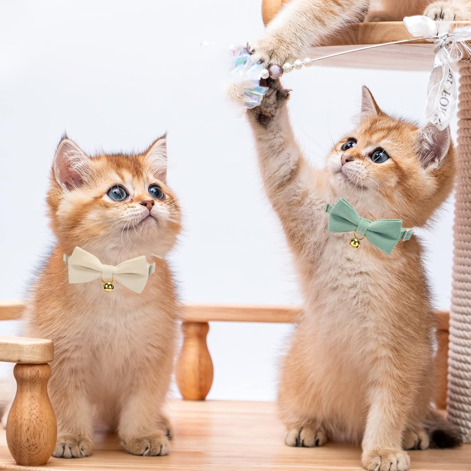 Katzenhalsbänder aus weichem Cord mit Fliege und Glöckchen, verstellbar, Baumwolle, Kitty-Fliege, Halsband für weibliche und männliche Katzen, 2 Stück (Weiß und Grasgrün)