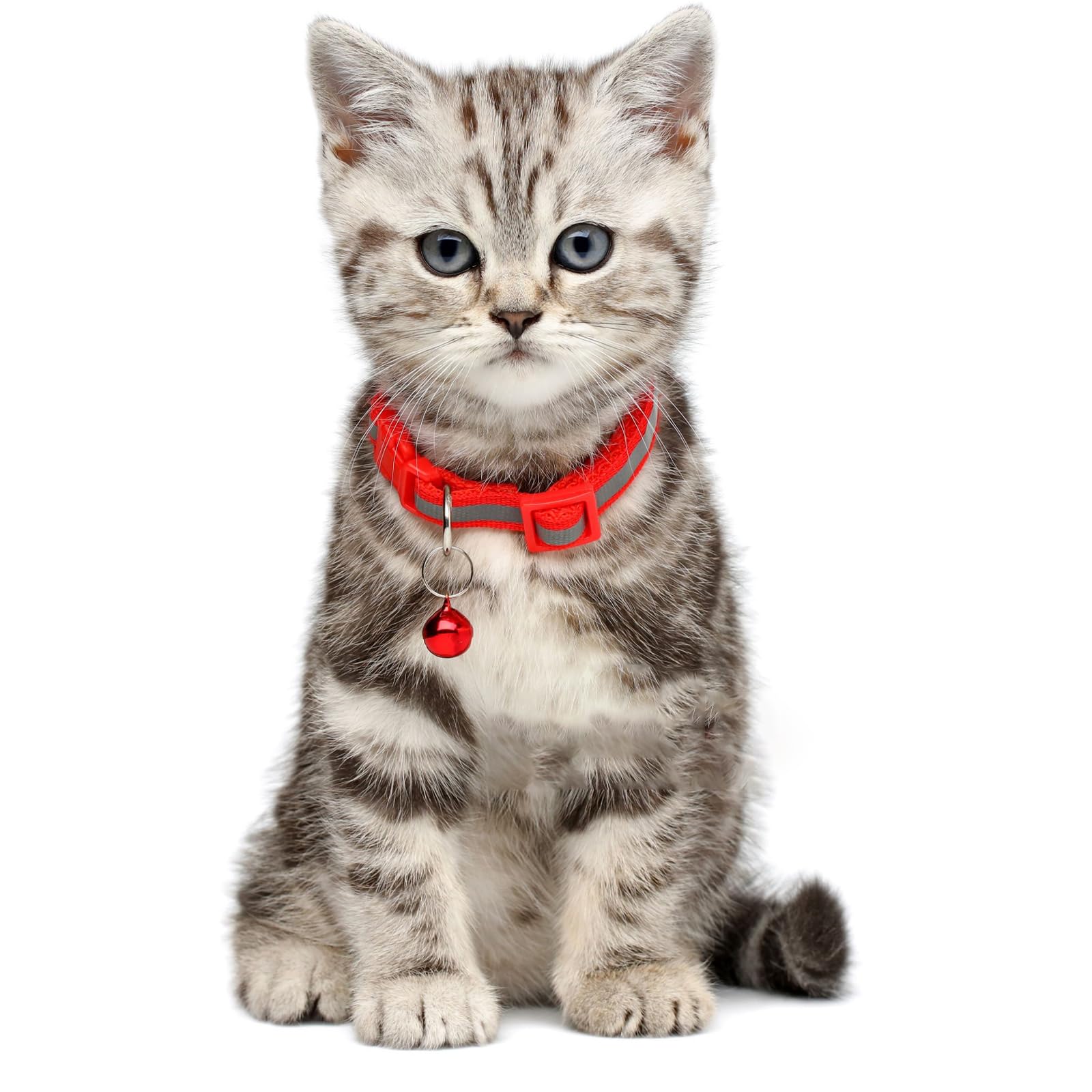 Lot de 24 cloches en métal pour chien et chat - Avec boucles - Pendentif puissant - Accessoire pour animaux de compagnie - Ne perdez pas vos breloques d'entraînement pour animaux de compagnie