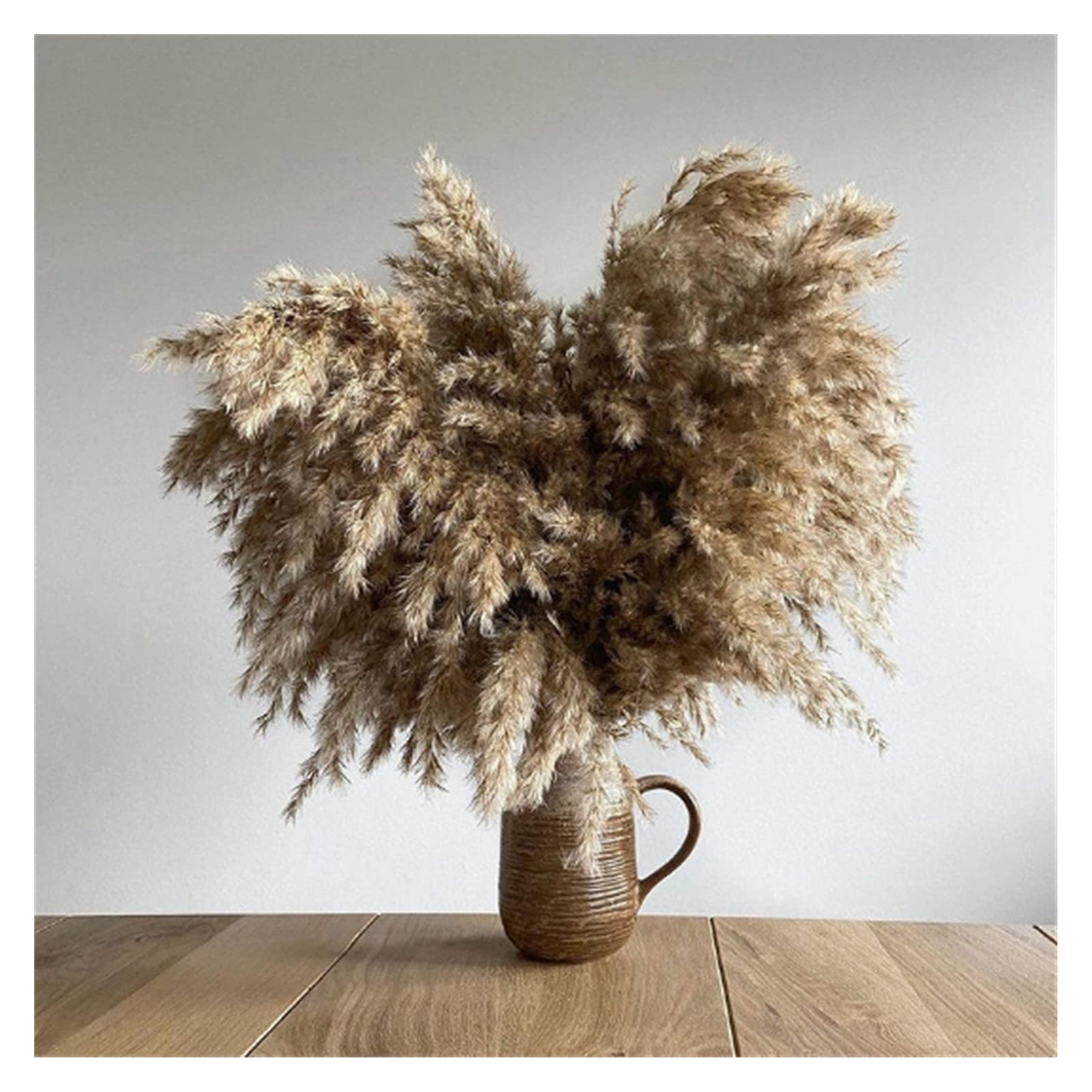 Yangqijie Yaoqijie 10 steli extra soffici di colore grezzo essiccato pampas erba bouquet decorazione di nozze mazzo di fiori naturale decorazione della casa grande pampas durevole (colore : 10 steli
