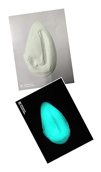 Radium Paint Powder Blue Green 100gm