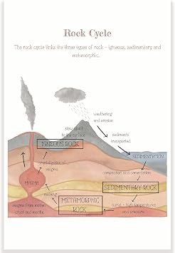Rock Cycle Classroom Poster - Science Class Poster - 12 x 18 Inch - Classroom Decor - Classroom Must Haves - Back To School Decor - CPS0362