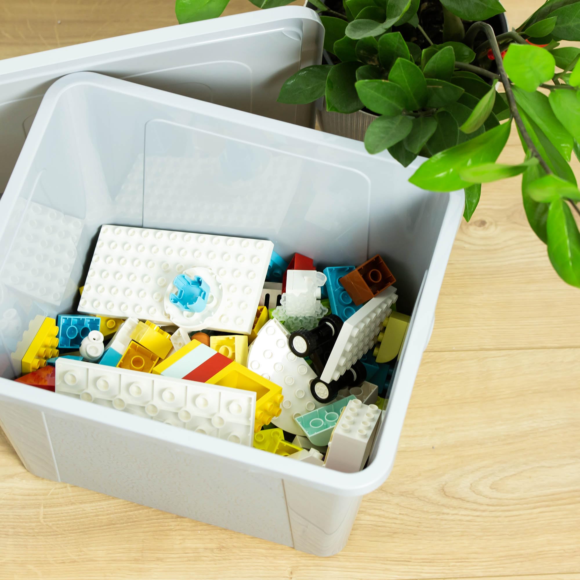 Scatole Contenitore Multibox Con Coperchio - Plastica, 10L - Foto 3