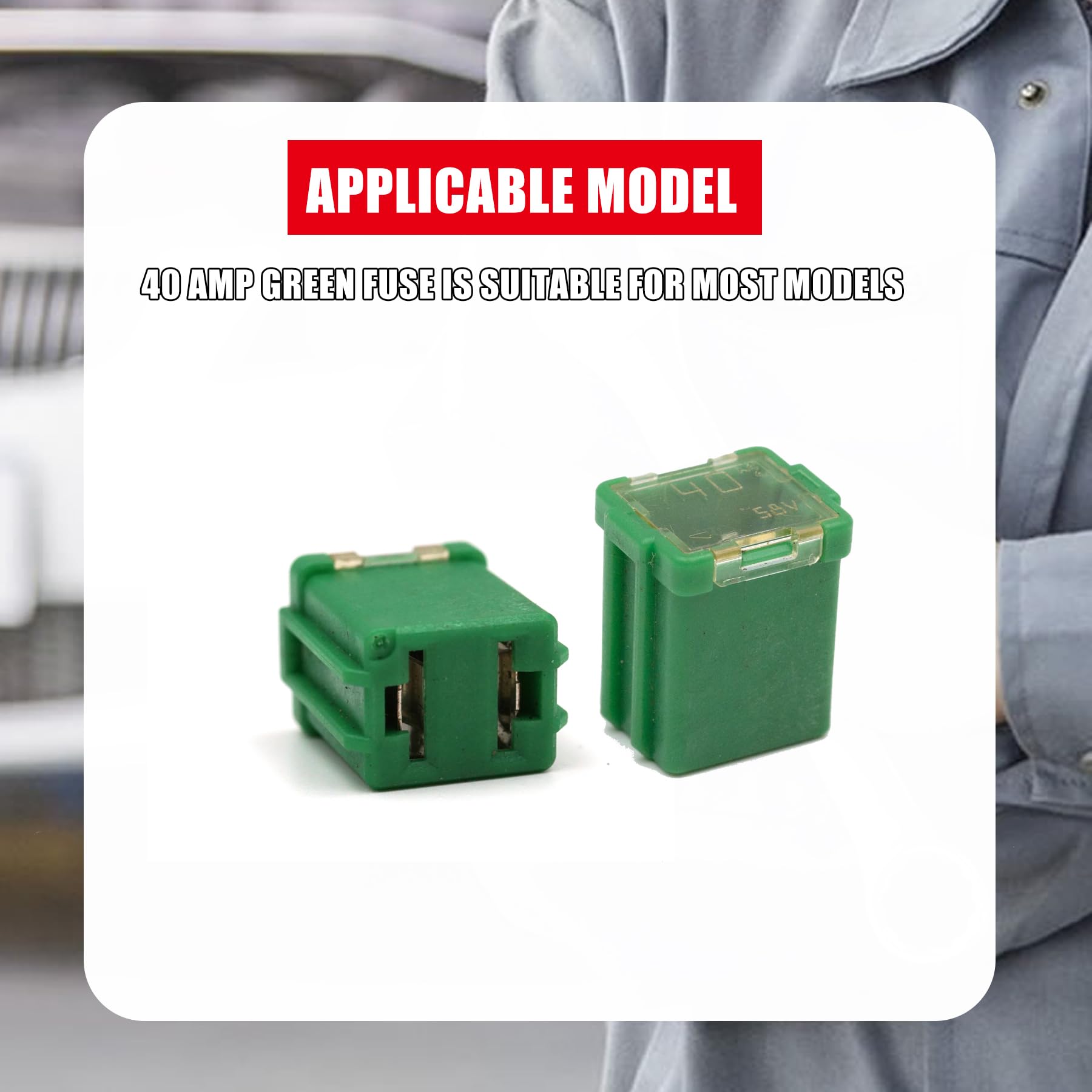 ハシマカオル宛 Amazon.com: 40 Amp Fuse Green 927-6040 9276040 6E5Z-14526-CA