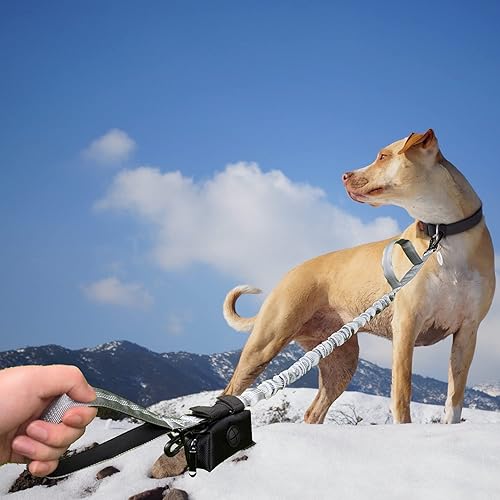 Miniatura 5 de Correa elástica para perro con dispensador de bolsas de basura para perros, correa táctica sin tirones para absorción de impactos, con 2 asas de