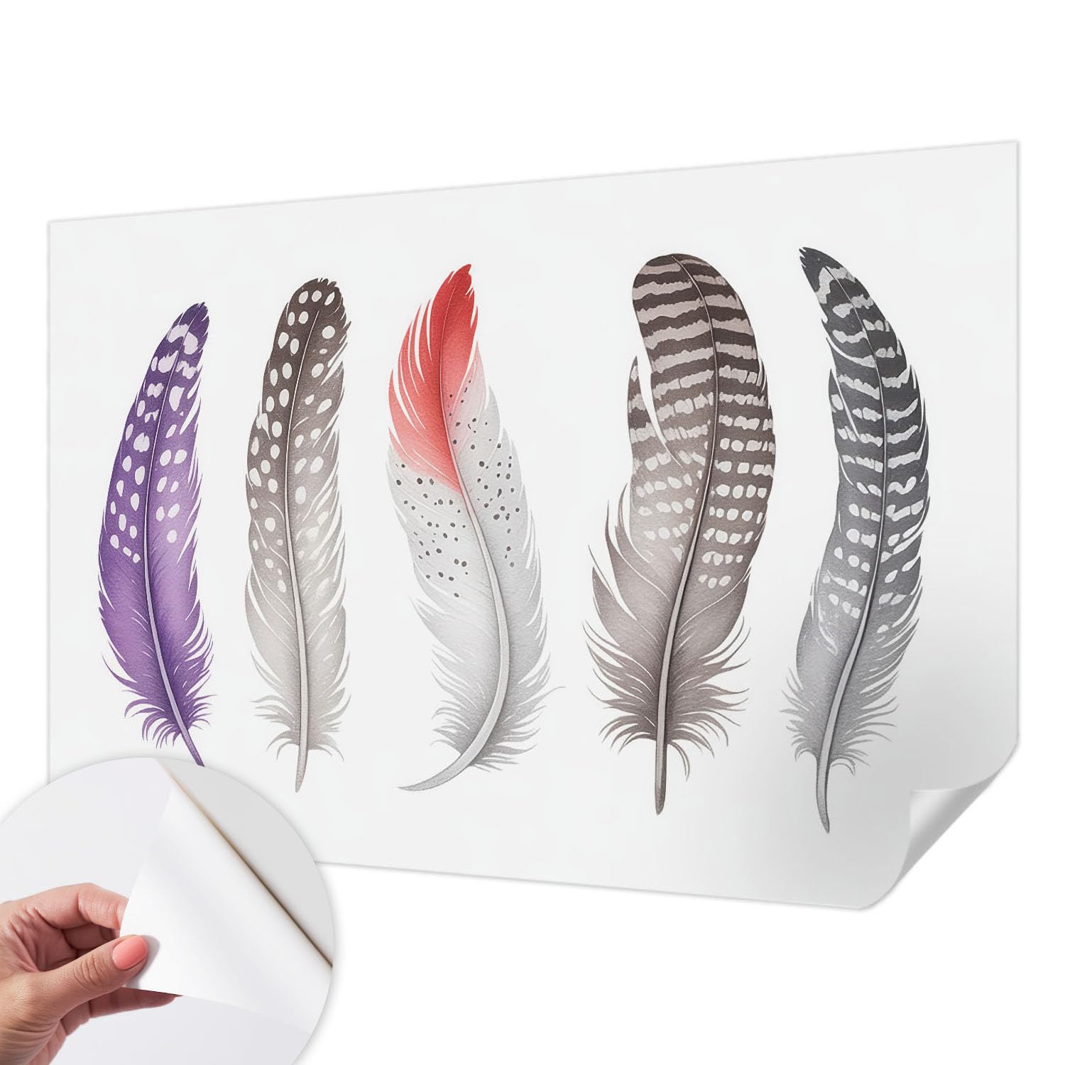 Vinilos pasillo plumas de 152x104 cm decorativos para mural del recibidor